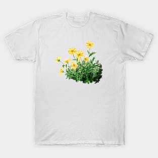 September 3rd birthday flower T-Shirt